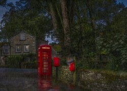 Budka telefoniczna pod drzewami w strugach deszczu