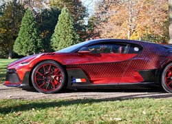 Bugatti Divo Lady Bug, Bok