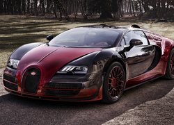 Bugatti Veyron Grand Sport Vitesse La Finale