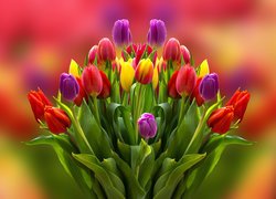Bukiet barwnych tulipanów