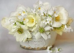 Bukiet białych kwiatów w doniczce