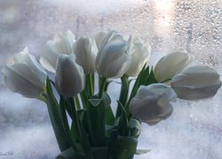Bukiet białych tulipanów w kroplach wody