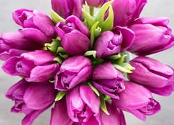 Bukiet ciemnoróżowych tulipanów