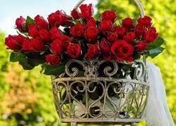 Bukiet czerwonych róż w kwietniku