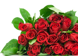 Bukiet czerwonych róż