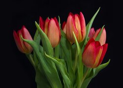 Bukiet czerwonych tulipanów na czarnym tle