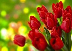 Bukiet czerwonych tulipanów w grafice