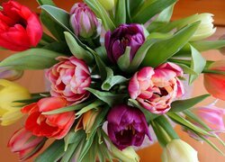 Bukiet, Tulipany, Kolorowe, Kwiaty