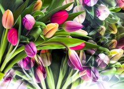 Kwiaty, Kolorowe, Tulipany, Grafika