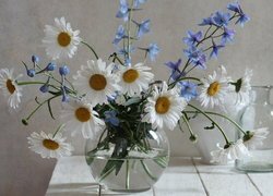 Bukiet margerytek i niebieskich kwiatków w wazonie