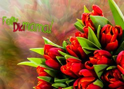 Kwiaty, Tulipany, Napis, Dzień Matki