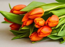 Bukiet pomarańczowych tulipanów
