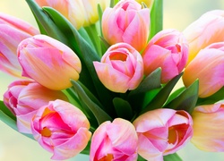 Bukiet różowo-żółtych tulipanów