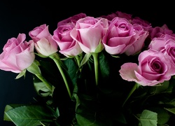Bukiet różowych róż na czarnym tle