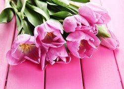 Bukiet różowych tulipanów na różowych deskach