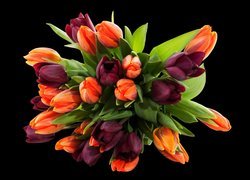 Bukiet tulipanów na czarnym tle