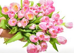 Różowe, Tulipany, Bukiet, Ręce, Białe tło