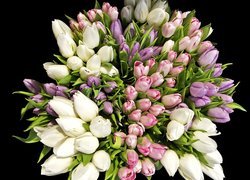 Tulipany, Kolorowy, Bukiet