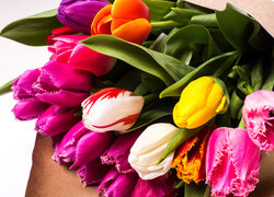 Bukiet z kolorowych tulipanów