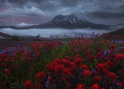 Góry Kaskadowe, Wulkan, Mount St Helens, Łąka, Czerwone, Kwiaty, Mgła, Pioruny, Burza, Ciemne, Chmury, Stan Waszyngton, Stany Zjednoczone