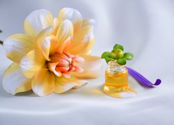 Buteleczka, Olejek, Aromaterapia, Kwiat, Dalia