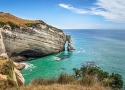 Wybrzeże, Klif, Cypel, Cape Farewell Arch, Skały, Rośliny, Morze, Nowa Zelandia