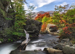 Chile, Patagonia, Cascada del Rio Paine, Rzeka, Góry, Skały, Drzewa