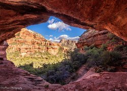 Czerwone, Skały, Krzewy, Cathedral Rocks, Sedona, Arizona, Stany Zjednoczone