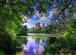 Central Park z jeziorem i drapaczami chmur