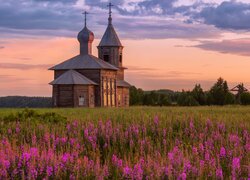 Cerkiew i różowe kwiaty na łące