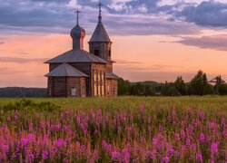 Rosja, Obwód archangielski, Nisogora, Cerkiew, Łąka, Kwiaty, Drzewa