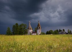 Pochmurne, Niebo, Cerkiew św Jana Chryzostoma, Łąka, Drzewa, Gałęzie, Kiprovo, Obwód archangielski, Rosja