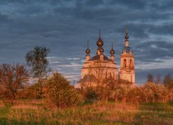 Cerkiew, Drzewa, Rośliny, Chmury, Savinskoye, Obwód jarosławski, Rosja