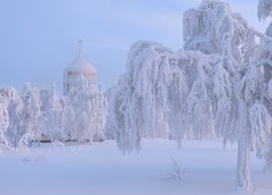 Kopuła, Cerkiew, Białogórski Monaster św Mikołaja, Zima, Śnieg, Ośnieżone, Drzewa, Biała Góra, Obwód permski, Rosja