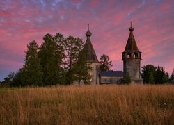 Cerkiew, Drzewa, Łąka, Obwód archangielski, Rosja