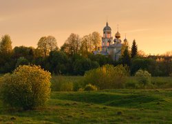 Cerwiew o zachodzie słońca w Debolovskoye