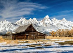 Drewniana, Chata, Góry Teton Range, Śnieg, Drzewa, Park Narodowy Grand Teton, Stan Wyoming, Stany Zjednoczone