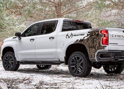 Chevrolet Silverado Z71 Custom, 2021