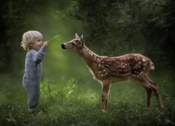 Chłopczyk bawi się z sarenką na leśnej polanie