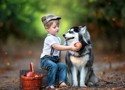 Chłopczyk i jego pies siberian husky