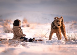 Śnieg, Zima, Dziecko, Terrier walijski