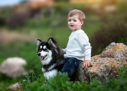 Chłopczyk ze swoim psem rasy siberian husky