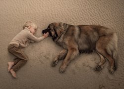 Chłopiec i leonberger leżą na piasku