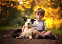 Chłopiec, Droga, Liście, Border collie