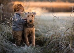 Pies, Airedale terrier, Chłopiec, Trzciny, Trawy