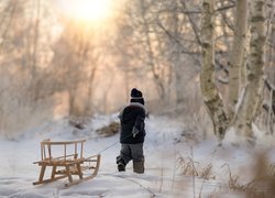 Chłopiec z sankami na śniegu