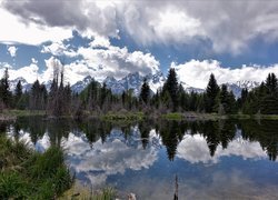 Park Narodowy Grand Teton, Góry Teton Range, Rzeka Snake River, Las, Drzewa, Chmury, Odbicie, Stan Wyoming, Stany Zjednoczone