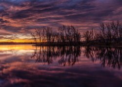 Jezioro, Lake Chatfield, Wschód słońca, Drzewa, Kolorado, Stany Zjednoczone