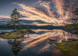 Norwegia, Ringrike, Chmury, Jezioro, Drzewa, Odbicie