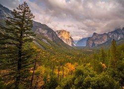 Drzewa, Góry, Chmury, Park Narodowy Yosemite, Kalifornia, Stany Zjednoczone